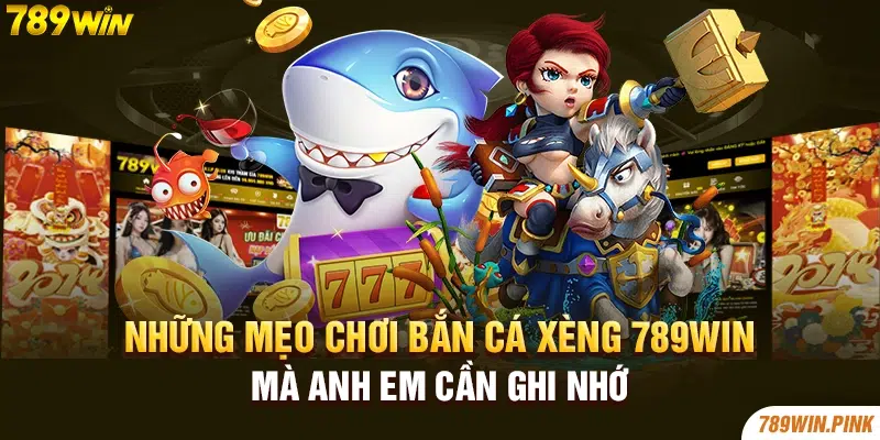 Những mẹo chơi bắn cá xèng 789win mà anh em cần ghi nhớ