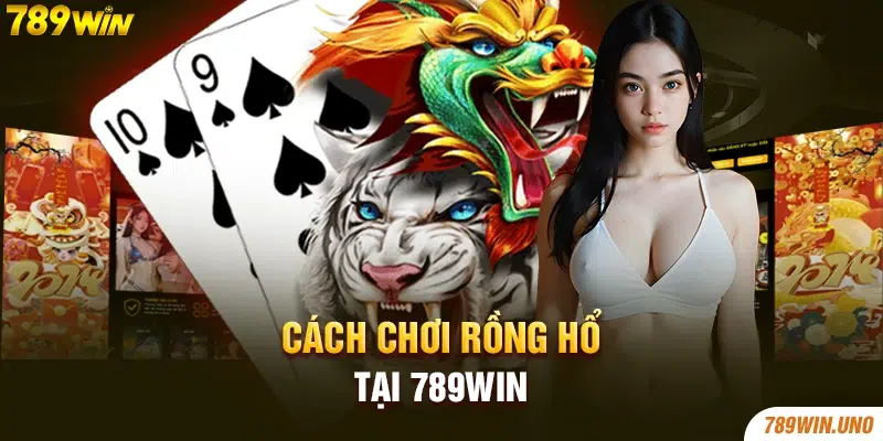 Cách chơi rồng hổ tại 789win