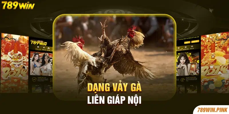 Dạng vảy gà Liên Giáp Nội