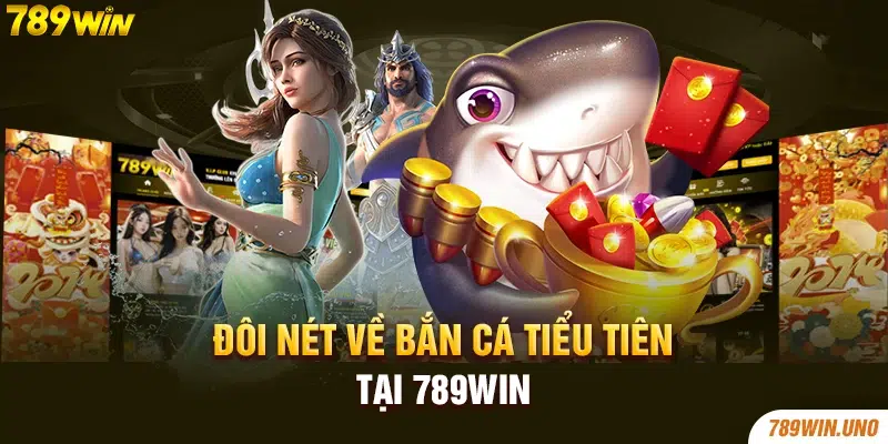 Đôi nét về bắn cá tiểu tiên tại 789win