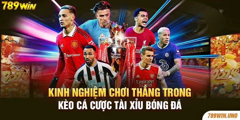 Kinh nghiệm chơi thắng trong kèo cá cược tài xỉu bóng đá