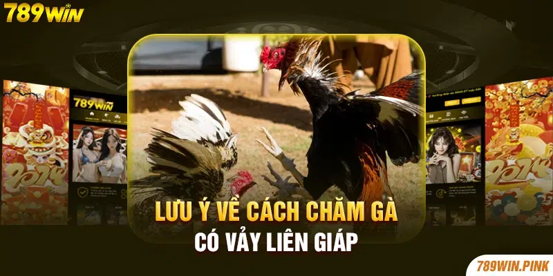 Lưu ý về cách chăm gà có vảy Liên Giáp