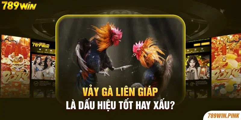 Vảy gà Liên Giáp là dấu hiệu tốt hay xấu?