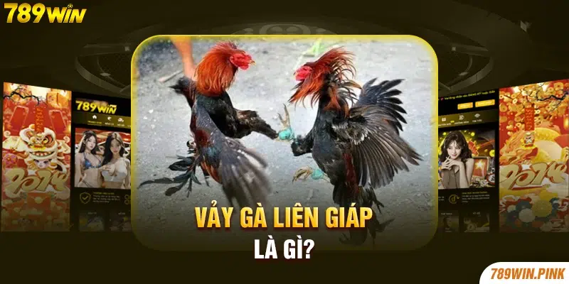 Vảy gà Liên Giáp là gì?