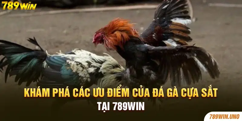 Khám phá các ưu điểm của đá gà cựa sắt tại 789win