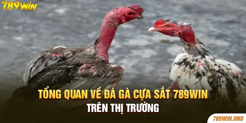 Tổng quan về đá gà cựa sắt 789win trên thị trường